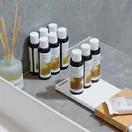 Nuevo * 萨索斯